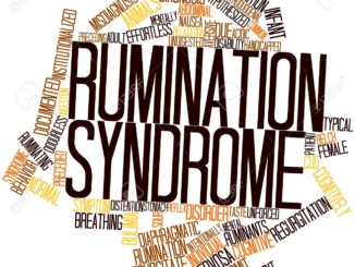Ruminasyon